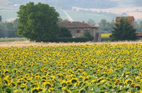 Bibbiena House | Agriturismo Poderi Minori
