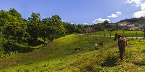 Civita Castellana House | Agriturismo Rio Coverino
