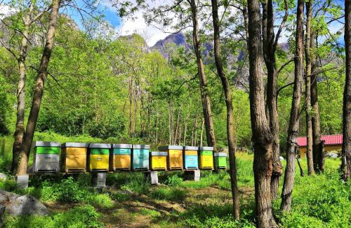 Valtellina House | Agriturismo Val Codera