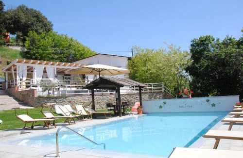 Montevarchi House | Agriturismo Villa Le Vigne