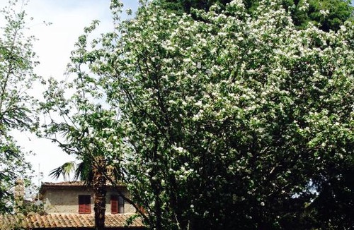 Sinalunga Villa | Agriturismo Villa Panorama