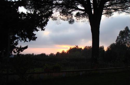Salemi Bed & Breakfast | Ai Cipressi