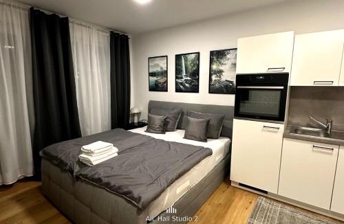 Hessental Apartment | AIL Hall Studio 2