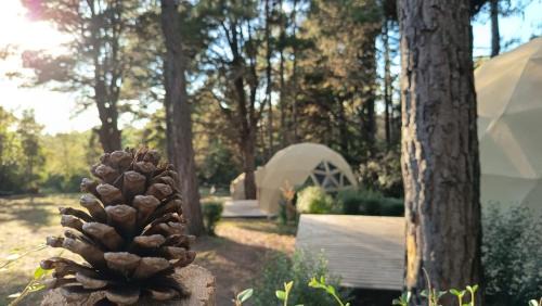Villa Berna Cabin | Aires de Berna
