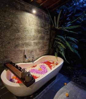 Melayang House | Aix Cottage Ubud