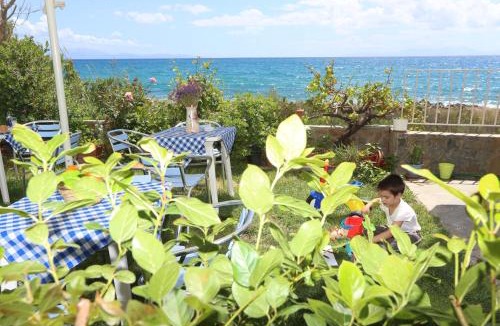 Plomari Apartment | Akrogiali Hotel