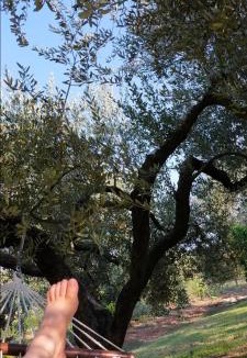 Melizzano Bed & Breakfast | Al Boschetto