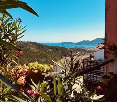 Valeriano Lunense Apartment | Al Castello