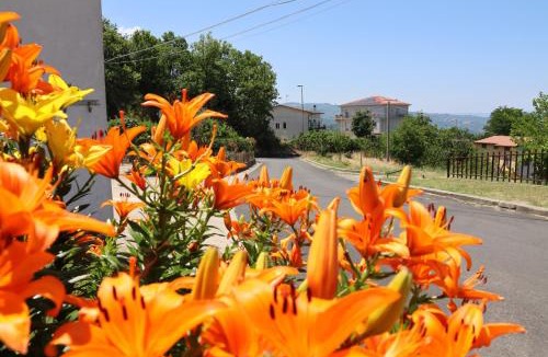 Acri Bed & Breakfast | Al Giardino b&b