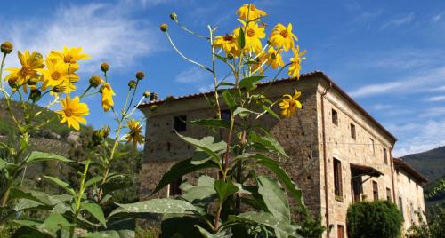 Calci House | Al Palazzaccio