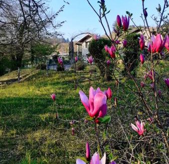 Cunardo Bed & Breakfast | Al Picchio Verde A.P.S.