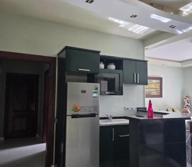 Sheikh Zayed City Apartment | Al Sheikh Zayed City