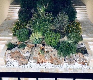Manduria Bed & Breakfast | AL VECCHIO FRANTOIO