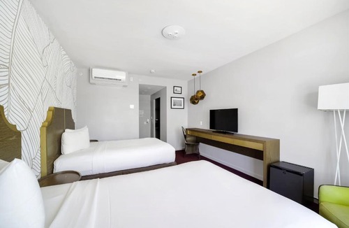 Mid Beach Apartment | Alamo Hotel