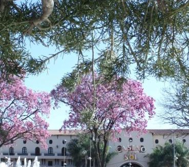 Termas de Rio Hondo Apartment | Alas termas