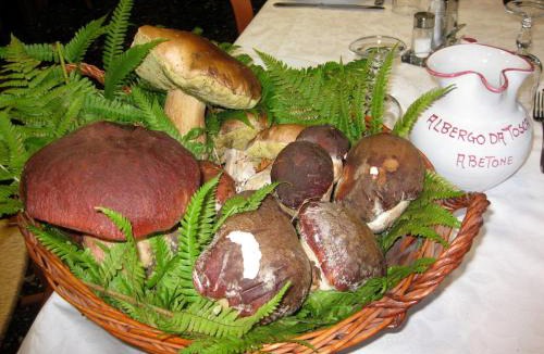 Abetone Hotel | Albergo "da Tosca"