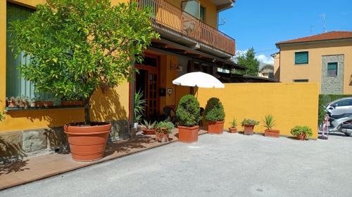 Pistoia Hotel | Albergo Le Rose
