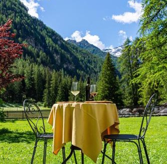 Champoluc Hotel | Albergo Monte Cervino