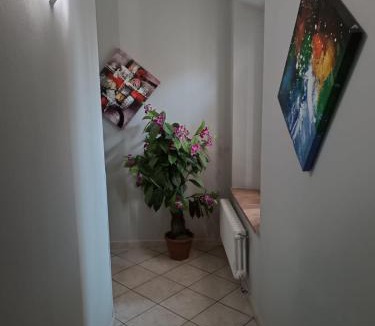 Parma Apartment | Albergo onlysleep
