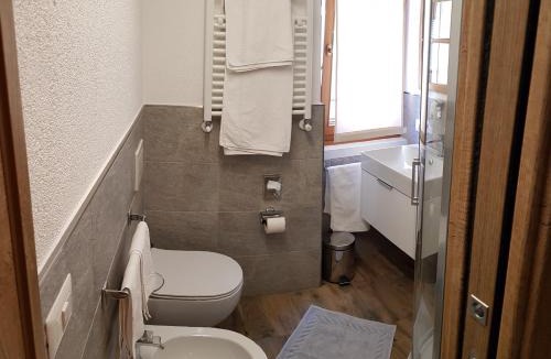 Valtellina Hotel | Albergo Soldanella