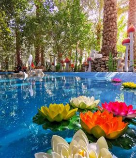 Hatta Villa | ALBERI LODGE