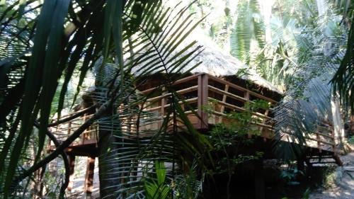 San Francisco Cabin | Aldea Bambú