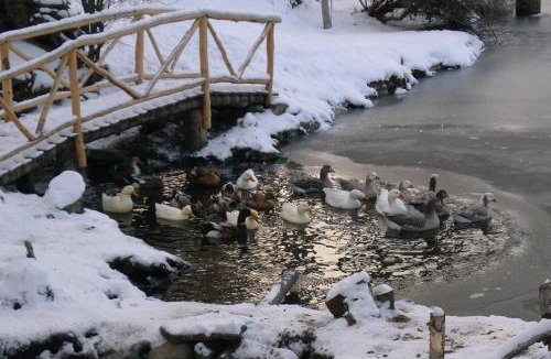 Province of Tierra del Fuego Cabin | Aldea Nevada