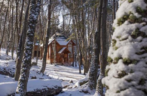 Province of Tierra del Fuego Cabin | Aldea Nevada