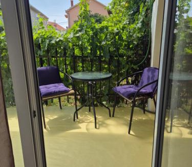 Mrcevac Apartment | Aleksandar Appts
