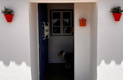Aldeia de Brescos House | Alentempo