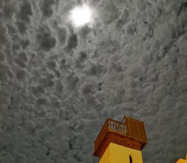 Siwa Hotel | Alexander Lodge
