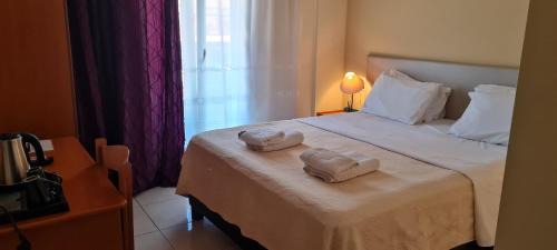 Kalambaka Hotel | Alexiou Hotel
