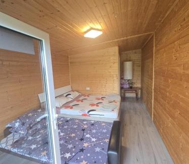 Curtea De Arges House | Alin