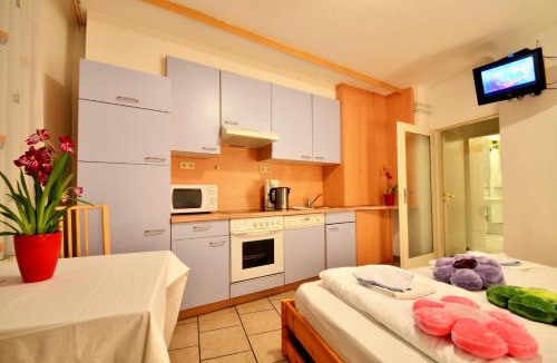 Floridsdorf Apartment | All-in Work & Study City Studio Apartment