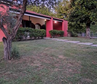 Selvazzano Dentro Bed & Breakfast | All'ombra della magnolia