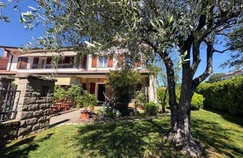 Zovon Bed & Breakfast | Alla Stella B&B