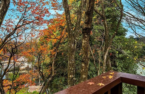 Katoomba Cottage | Allambee Cottage - pet friendly, close to town & the station