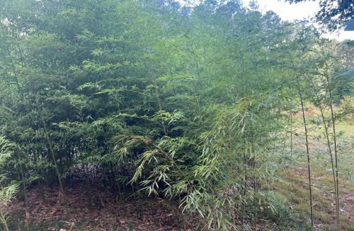 Acworth Apartment | Allatoona Lake Studio Apartment