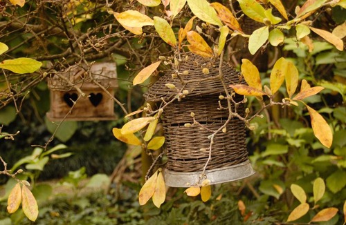 Asola Bed & Breakfast | Alle Fronde