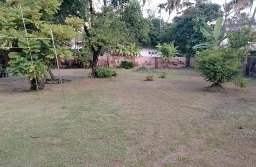 Sea View Ward Bed & Breakfast | Alleppey Tharavad