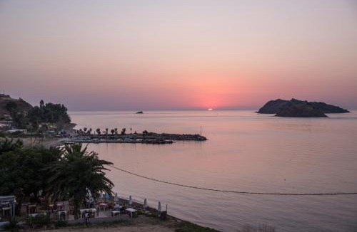 Petra Hotel | Alma Hotel