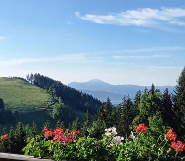 Diex Ski Chalet | Almchalet Schuster