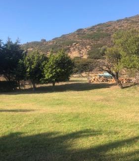 Skiros House | Almond House