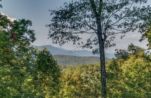 Saluda Cabin | Almost Haven | Located between Saluda and Tryon | 25 Min. to TIEC; Zip-lining, hiking & more!