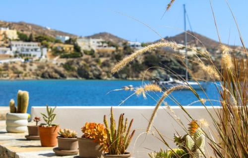Vissa House | Almyra