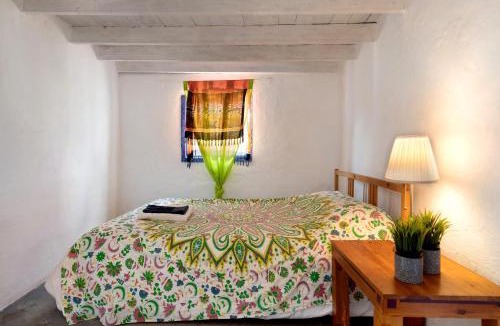 Teguise House | Aloe Art