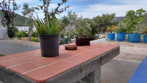 Kampos Apartment | Aloe House