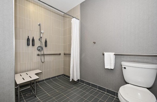 Hunters Point Hotel | Aloft by Marriott Long Island City-Manhattan View