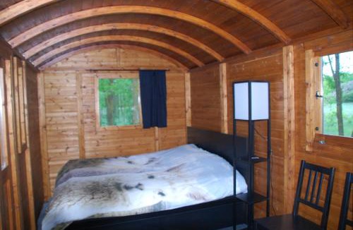 Helvecia Other | Alpacacamp