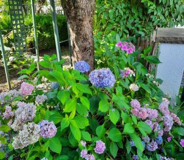 Oberstdorf House | Alpchalet Oberstdorf